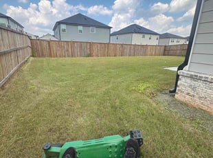 Marisella T.'s grass cutting service result