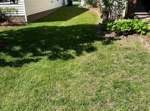 Frank K.'s lawn maintenance service result