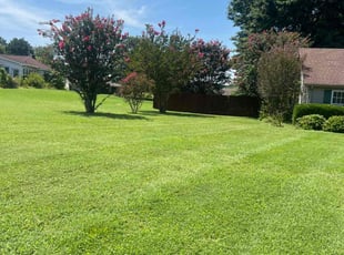 Melissa C.'s grass cutting service result