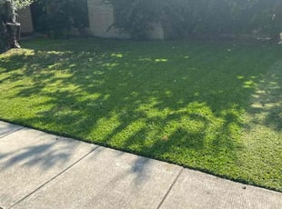 Chuck T.'s lawn maintenance service result