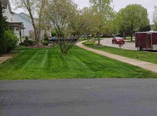 Sheri P.'s grass maintenance service result