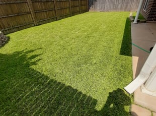 Gertrude G.'s lawn service service result