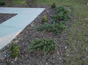 Denise C.'s Flower Bed Weeding service result