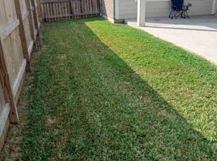 Leonard S.'s grass cutting service result