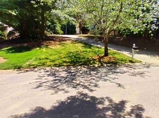 Kenneth H.'s turf care service result