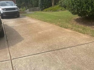 Kaitlyn T.'s grass maintenance service result