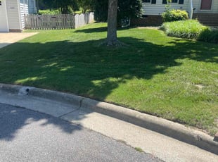Jazmine A.'s turf care service result
