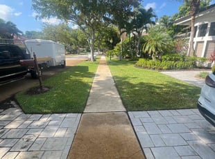 Andrea N.'s turf care service result
