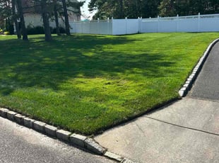Delete D.'s turf maintenance service result