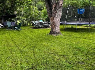 Lois D.'s turf maintenance service result
