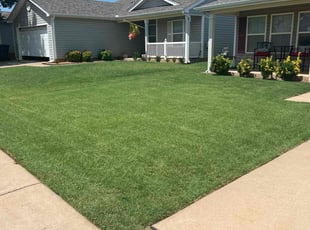 anthony t.'s turf maintenance service result
