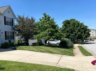 Logan M.'s lawn service service result