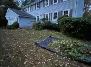 Jeannette T.'s lawn maintenance service result