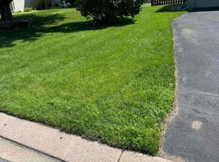 Dennis p.'s grass maintenance service result