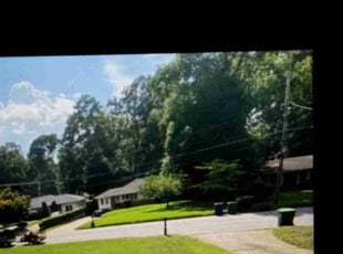 Marie F.'s lawn maintenance service result
