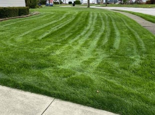 Khamta S.'s grass cutting service result
