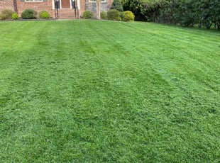 Shirley R.'s grass cutting service result