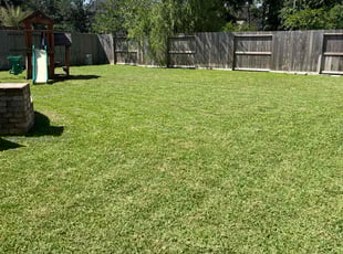 Jed G.'s lawn service service result