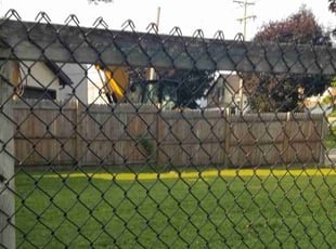 Brian M.'s turf care service result
