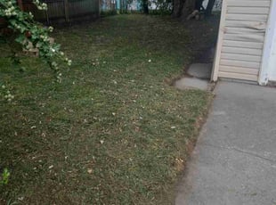 Todd, W.'s turf care service result