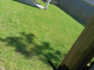 Roberta J.'s lawn service service result