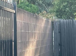 Georgeann F.'s lawn care service result