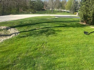 Janet H.'s lawn care services service result