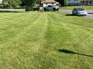 Greg S.'s grass maintenance service result