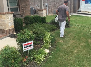 Gregory B.'s Bush Trimming service result