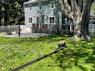 Melissa D.'s turf maintenance service result