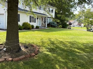 Terry T.'s lawn maintenance service result