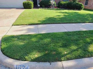 Deborah P.'s grass maintenance service result