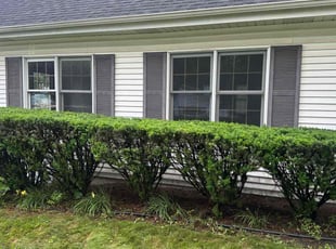 Warrianor J.'s Bush Trimming service result