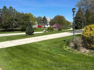 James A.'s lawn maintenance service result