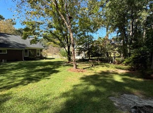 Eric B.'s lawn maintenance service result