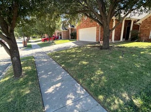 Cindy F.'s grass maintenance service result