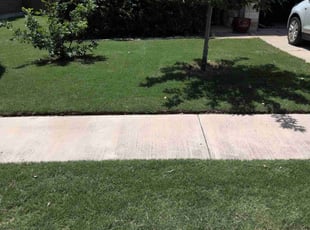 Kelly P.'s grass cutting service result