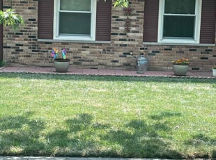 Jerry C.'s lawn care services service result