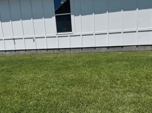 Brittany M.'s lawn care services service result
