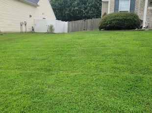 Tanya F.'s turf maintenance service result