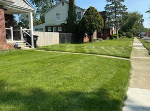 Jenessa M.'s turf care service result