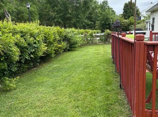 Darleen L.'s grass cutting service result