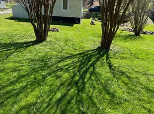 Linda F.'s lawn care service result