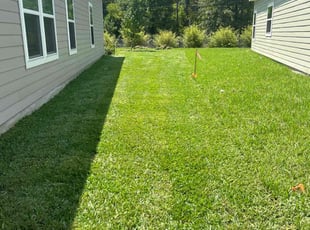 Carleen T.'s lawn maintenance service result