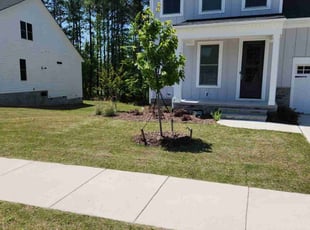 Carolyn K.'s grass maintenance service result