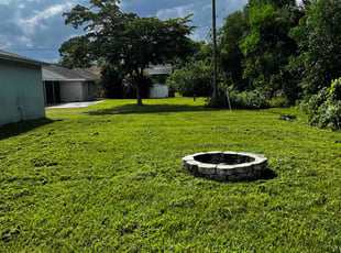Kelly C.'s grass cutting service result