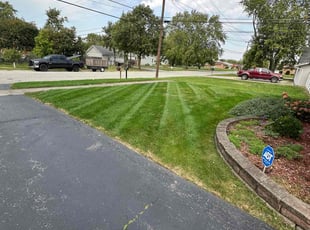 Lindsay S.'s turf care service result