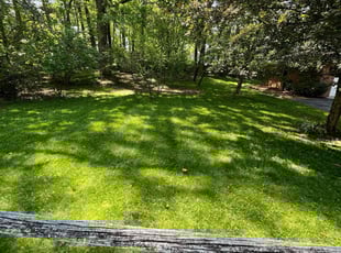 Carisa G.'s turf care service result