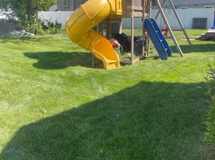 Brandon B.'s lawn care service result