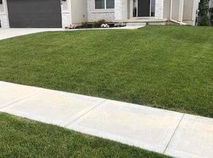 Paul D.'s grass maintenance service result